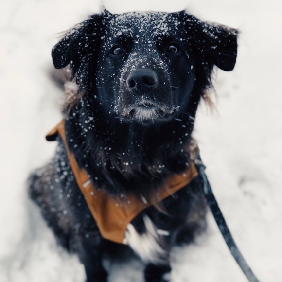 Meet your Posher, Natalie - Picture 2 of 6